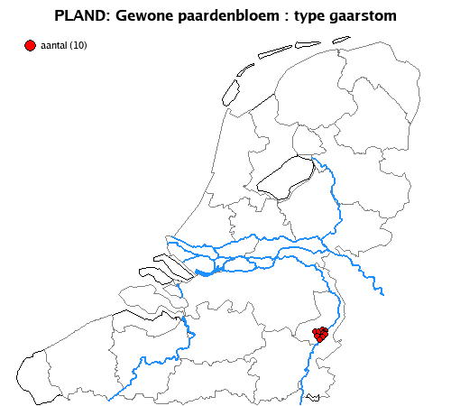 gaarstom